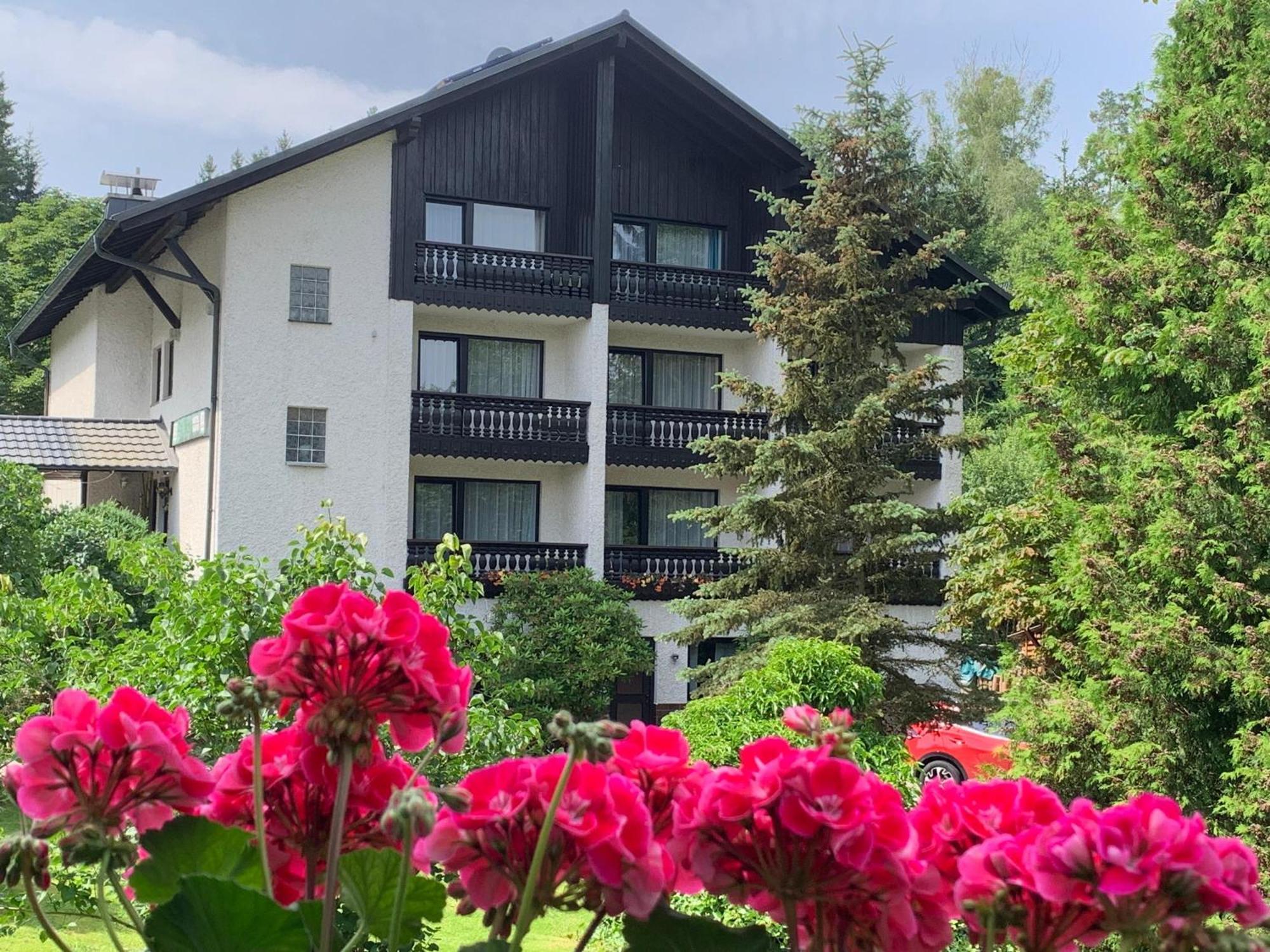 Landhaus Am Forst Бад Александерсбад Екстериор снимка